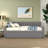 Upholstered Daybed With Trundle-498751622-471323204
