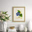 Radiant Floral 9 Print
