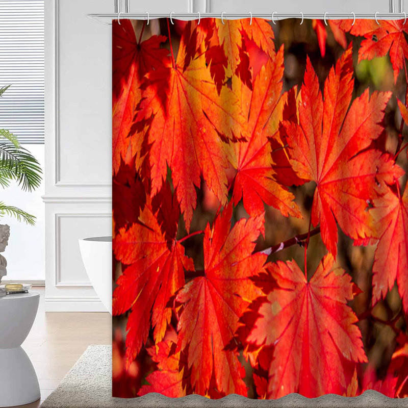 Autumn Maple Red Leaves Sunlight Shower Curtain with 12 Hooks, 72" L x 72" W