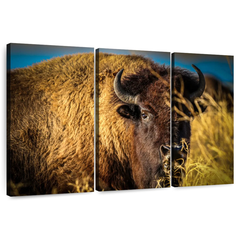 Brampt Grazing American Buffalo, 32" H x 50" W