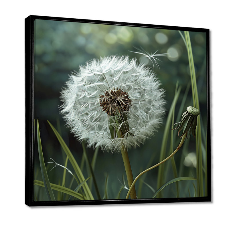 Pissenlit pappus dans la prairie - Pissenlit, art mural, Toile avec cadre flottant noir, H 36 po x l 36 po x P 1,5 po