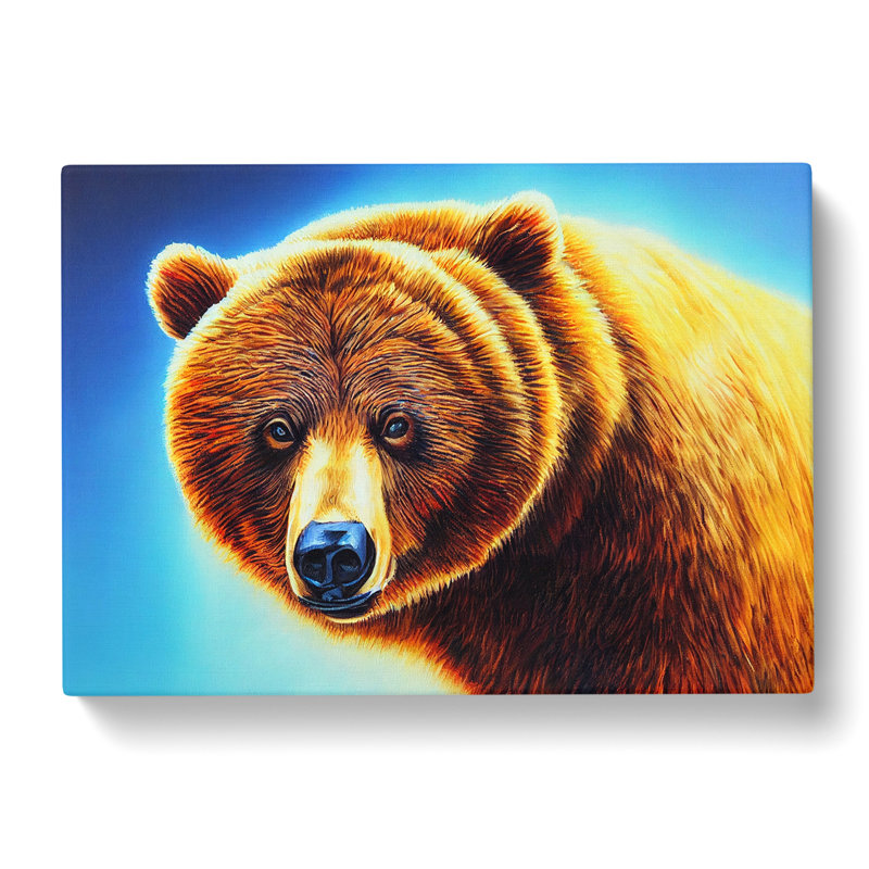 Eye Opening Bear - Wrapped Canvas, 35cm H x 50cm W x 3cm D