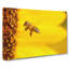 Let Me Bee - Wrapped Canvas-55365624