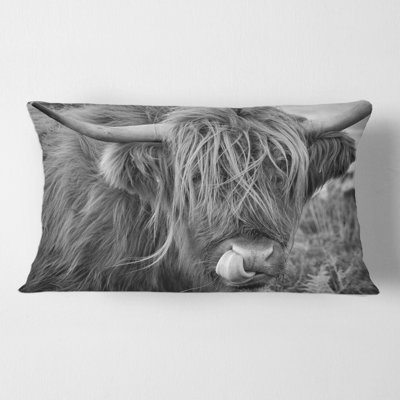 Housse de coussin rectangulaire et insert Scottish Cow on Moorland II