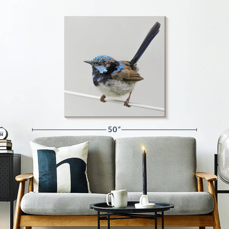 Brampt Bluebird Close Up, 30" H x 30" W