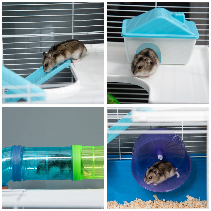 Small Animal Cage