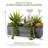 9'' Faux Succulent in Stone Planter