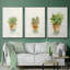 Succulent I, encadré sur toile, 3 pièces-163068311-163068310