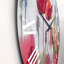 Blossoming Poppies In The Meadow - Horloge murale traditionnelle-60186847
