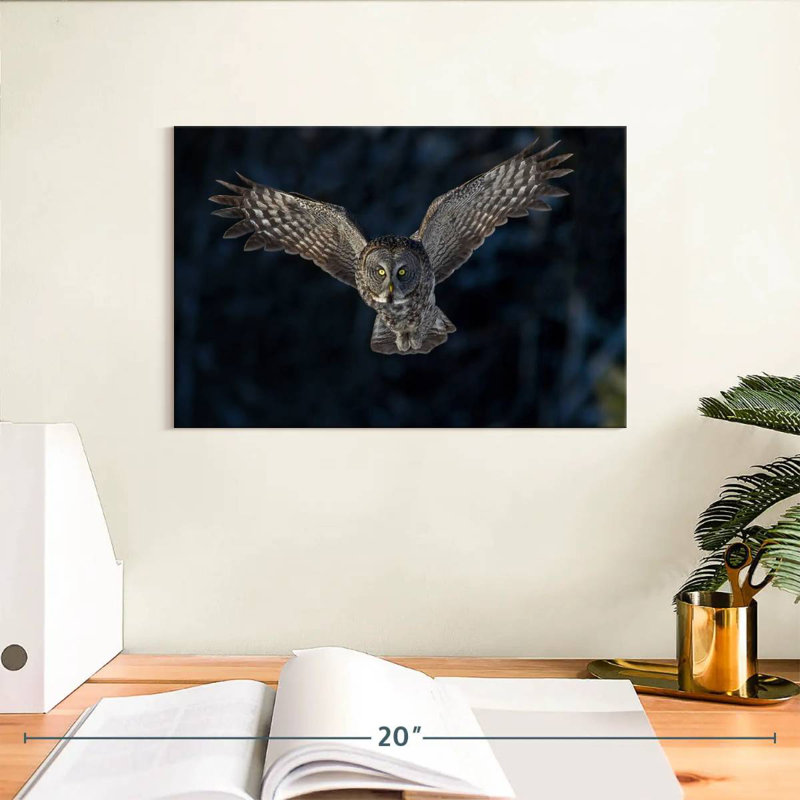 Flying Gray Owl, 8" H x 12" W