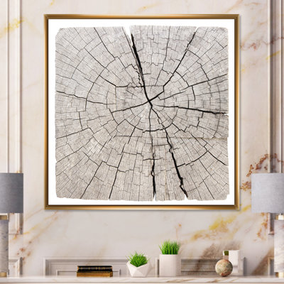 " Cross Section Of Tree Trunk III " Painting Print