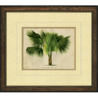 Small Crackled Horizontal Palm III Painting