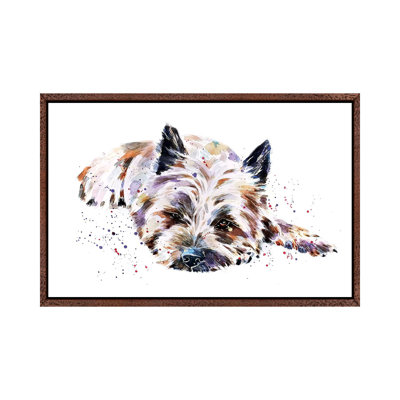 Cairn Terrier I by EdsWatercolours - Painting on Canvas