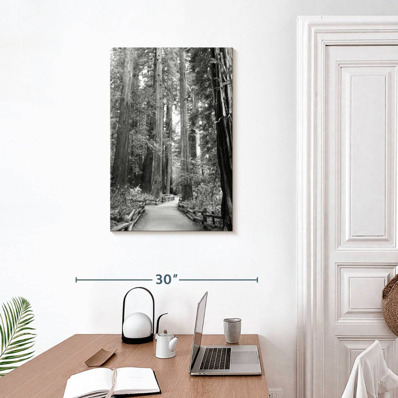 Alvord Tree Path I, H 30 po x l 20 po