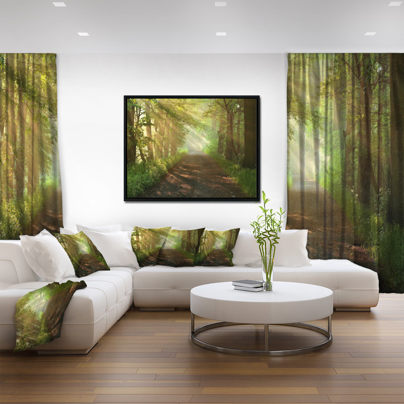 « suns peek into forest », reproduction de photo sur toile tendue encadrée, H 12 po x l 20 po x P 1 po