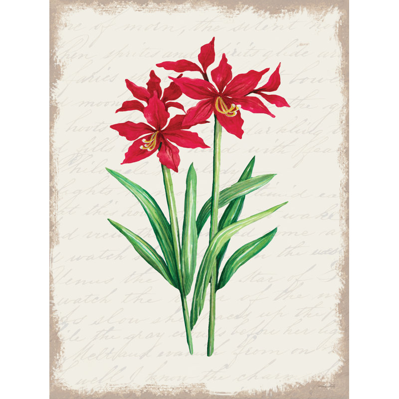 Amaryllis rouge, botanique I sur toile, H 30 po x l 20 po