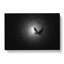 Flying Dove Bird In Abstract - Wrapped Canvas Print-55316206