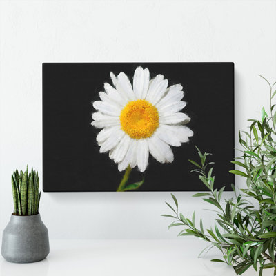 White Daisy Vol.6 - Wrapped Canvas