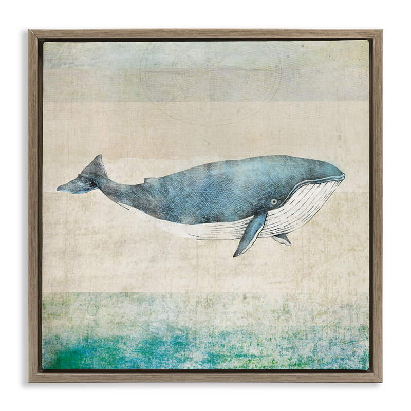 «Rustic Maritime Whale Floater» par JG Studios, H 18 po x l 18 po, Cadre flottant orme Montalcino