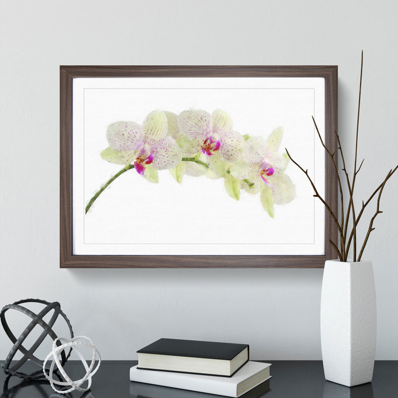 Orchid Flowers Vol.1 - Framed Print, 27cm H x 36cm W x 2cm D, Walnut Framed