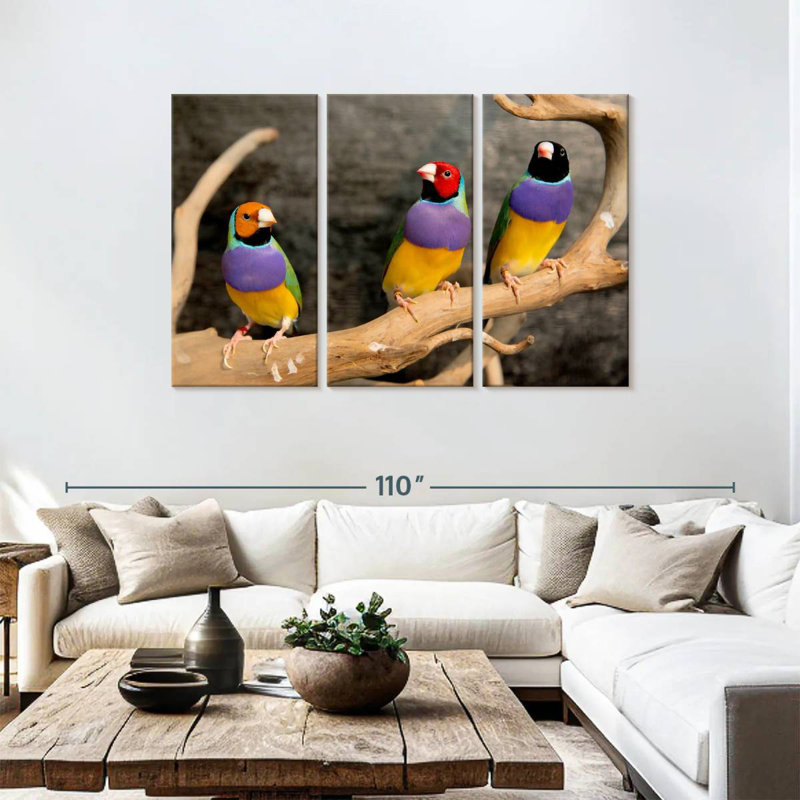 Brampt Rainbow Finches, 48" H x 74" W
