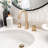 Lulani St. Lucia Widespread Bathroom Faucet with Drain Assembly-50297511