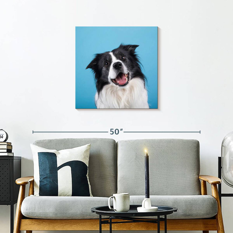Crowle Happy Border Collie, H 24 po x l 24 po