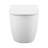 St. Tropez Wall-Hung Toilet Bowl Only-100615212