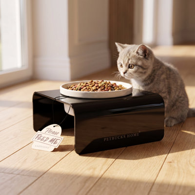 Mangeoire surélevée noire moderne pour animaux de compagnie avec bol blanc amovible (16 cm L x 16 cm P x 8 cm H)