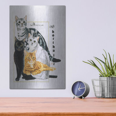 «American Shorthair» par Barbara Keith