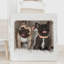 PAWD® | Modern Dog & Pet Crate - Caisse pliable pour chiens-1414941551-1414941549