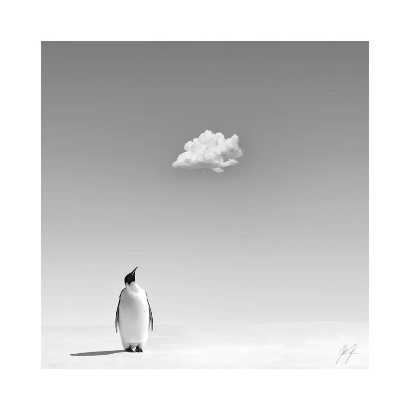 A Cooling In The Scorching Heat by Kathrin Federer - Wrapped Canvas Gallery-Wrapped Canvas Giclée, 45.72 cm H x 45.72 cm W