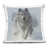 Loup gris