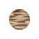 Cotati Abstract Indoor Rug