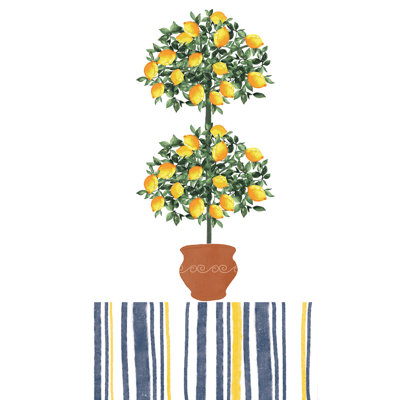 Hand Towel