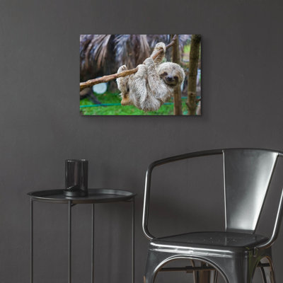 «Baby Sloth» par Epic Art Portfolio