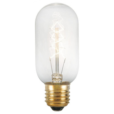 Portland 40W A E26-Light Bulb