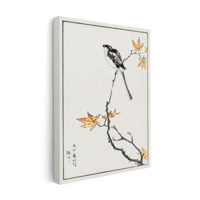 Long-Tailed Tit and Maple Tree