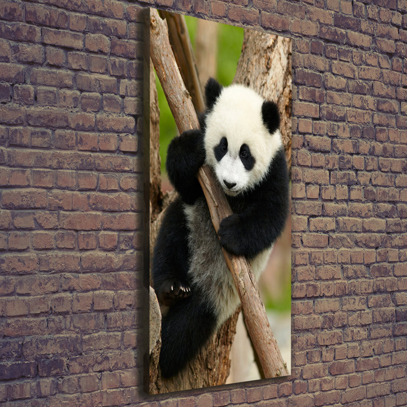 Panda On The Tree - Wrapped Canvas Print