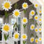Guirlande de marguerites