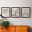 Antique sépia botanicals I - ensemble de 3 reproductions d'art sur toile-1241077289-1241077285