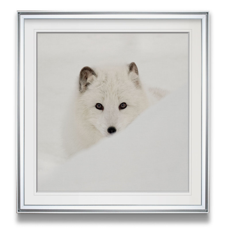 «Arctic Fox», reproduction de photo, H 17,5 po x l 17,5 po x P 1,5 po, Cadre argenté