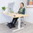 Dual Pedal Ergonomic Footrest