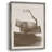 Half Full I Framed Print - Solid Wood-1158012772