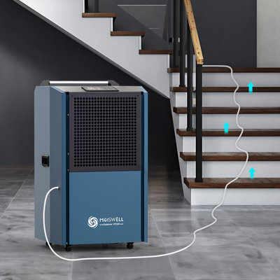 Déshumidificateur commercial de 250 chopines avec pompe de drainage continu automatique pour les installations et les sites industriels