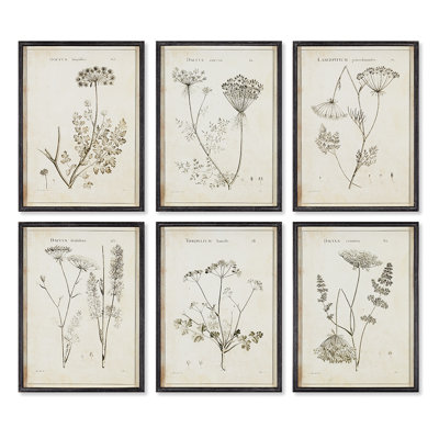 Wild Flower Wall Art