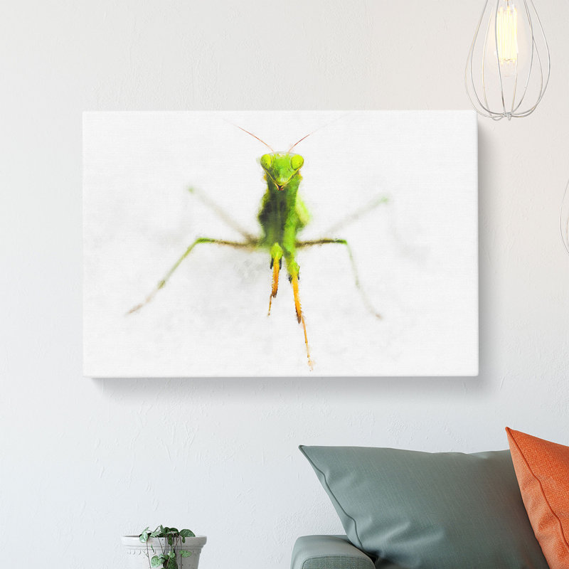 Praying Mantis - Wrapped Canvas, 35cm H x 50cm W x 3cm D