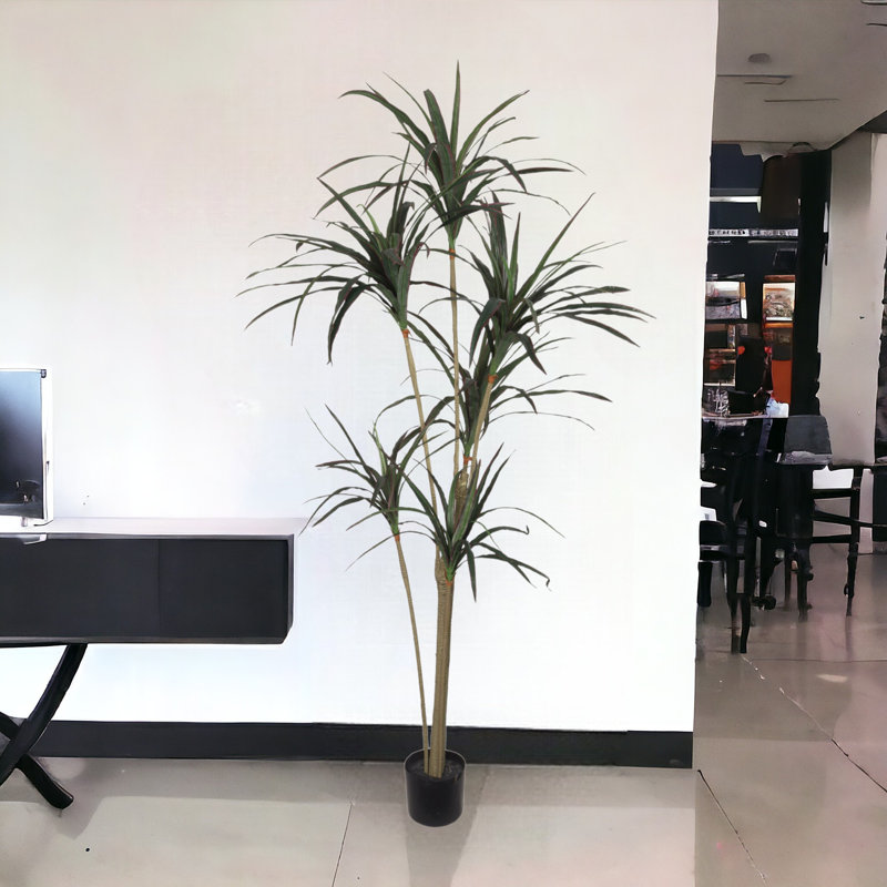 Arbre Dracaena artificiel, H 60 po x l 24 po x P 12 po