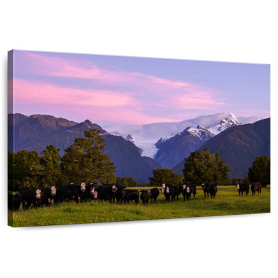 Alvord Picturesque Fox Glacier