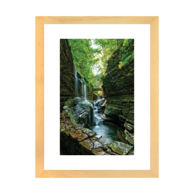 " Rickets Glen " by David Gardiner